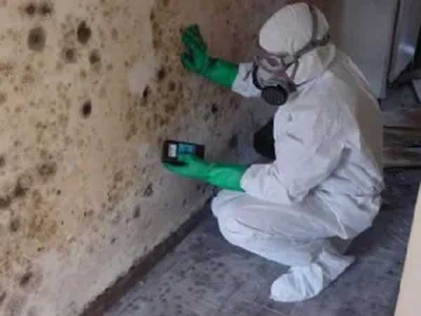 in oklahoma city and have a mold issue let us help you